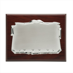 PLACA PLATEADA CON MADERA 17 X 13