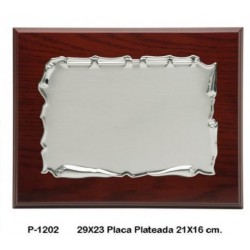 placa 29x23 chapa plateada 20x15